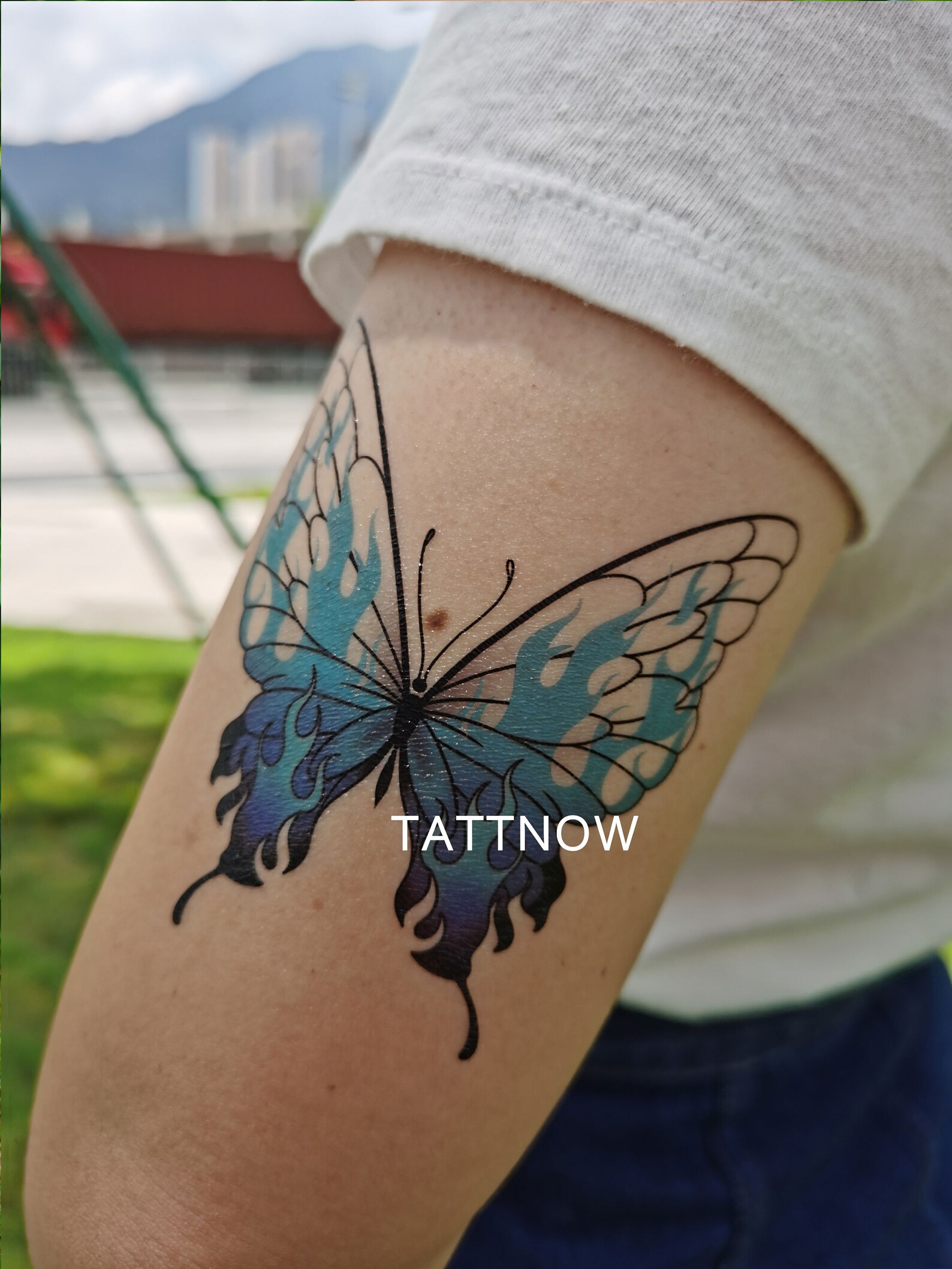 Blue Butterfly Temporary Tattoo Hand Temporary Tattoo set of Two ...