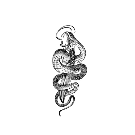 2pcs Snake Sword Semi-permanent Tattoo | Half Sleeve Tattoo Ink