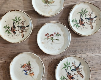 Ensemble de 6 sous verres en bois décor oiseaux et botanique