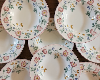 English plates The Chartwell Collection - Briar Rose - 10 soup plates (soup, salad) with floral and plant decoration diam. 22.5cm