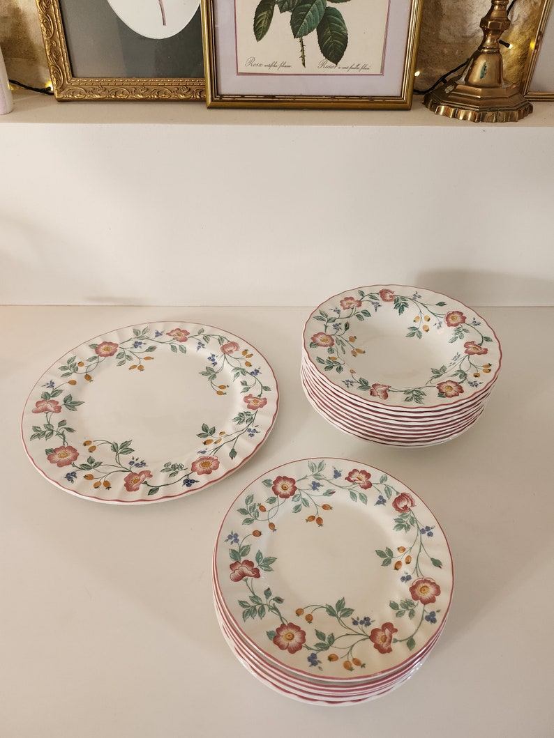 English plates The Chartwell Collection Briar Rose 10 soup plates soup, salad with floral and plant decoration diam. 22.5cm image 4