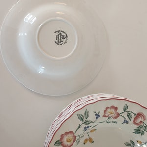 English plates The Chartwell Collection Briar Rose 10 soup plates soup, salad with floral and plant decoration diam. 22.5cm image 2