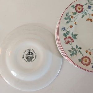 English plates The Chartwell Collection Briar Rose 10 soup plates soup, salad with floral and plant decoration diam. 22.5cm image 3