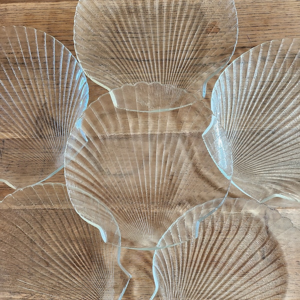 Ensemble de 6 assiettes coquillage / coquille saint jacques en verre texturé transparent