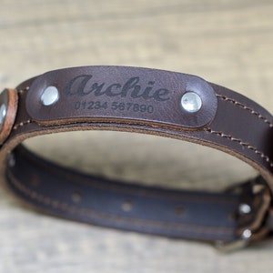 Personalised Full Leather Dog Collar in Brown - Made in Dorset
