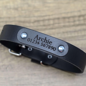 Puede incluir: Collar de perro de cuero negro con herrajes de metal plateado. El collar tiene una placa con el nombre "Archie" y un número de teléfono grabado. Hebilla y remaches metálicos.