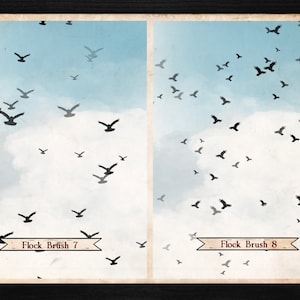 42 Raven Crow Brushes and Stamps for Procreate | Bird Brushes | Flock ...