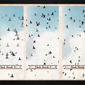 42 Raven Crow Brushes and Stamps for Procreate | Bird Brushes | Flock ...