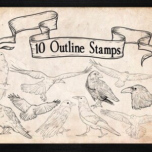 42 Raven Crow Brushes and Stamps for Procreate | Bird Brushes | Flock ...