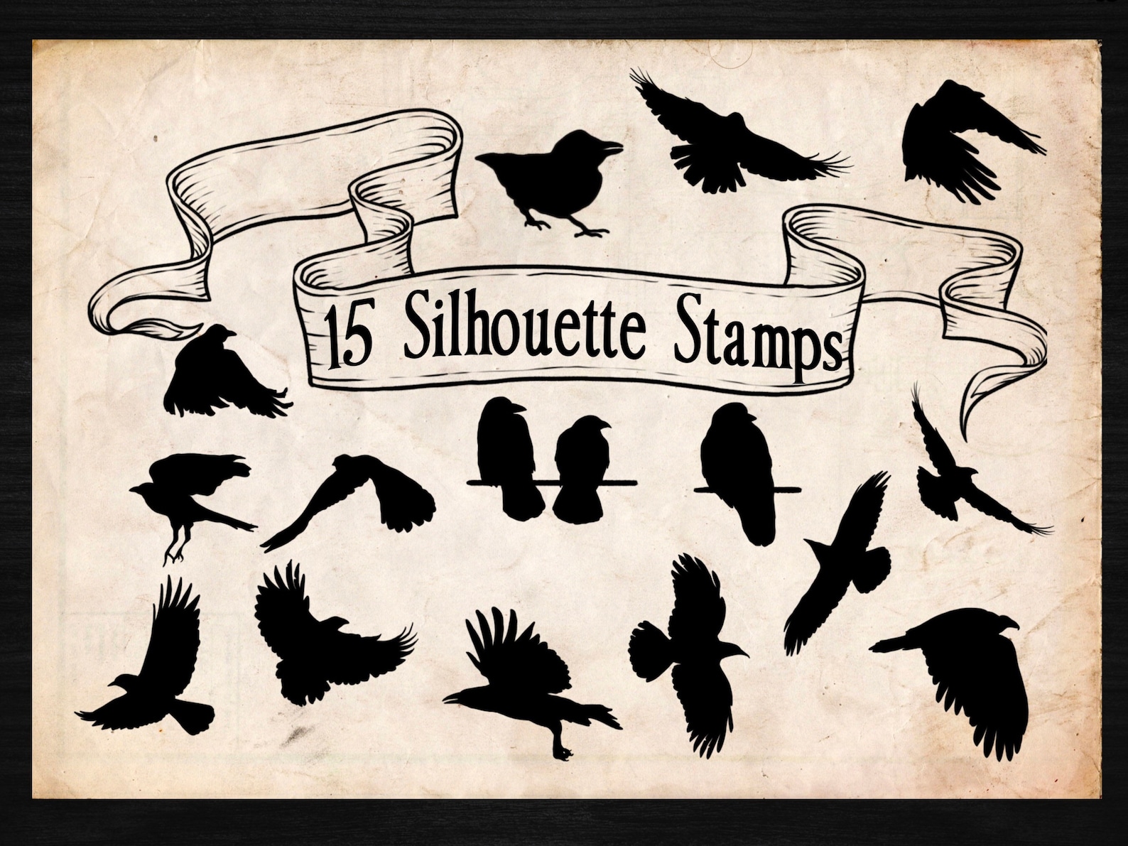 42 Raven Crow Brushes and Stamps for Procreate | Bird Brushes | Flock ...