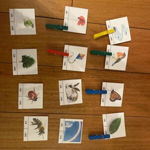 Hoja de trabajo Montessori para aprender femenino y masculino