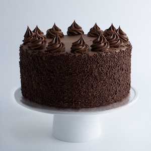 Chocolate Fudge Cake - Carlo&#39;s Bakery - 10&quot; (Large)