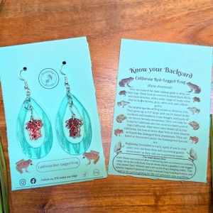 Può includere: Orecchini a goccia turchese con un ciondolo a forma di foglia rossa, esposti su una carta turchese con la scritta "California Red-Legged Frog". La carta presenta illustrazioni di rane e testo.