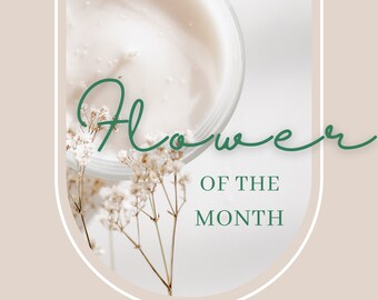 Flower of the Month - Vinyl Stickers
