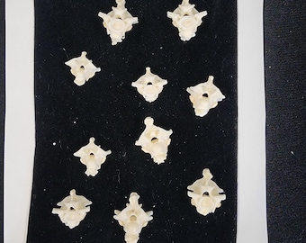 Lot of 10 / Boa Constrictor Snake Vertebrae / Jumbo Large - MBD Pathology Deformed
