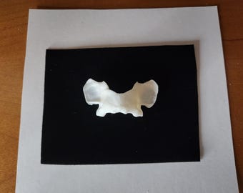 Lynx rufus / Bobcat Atlas Vertebrate  Butterfly Bone