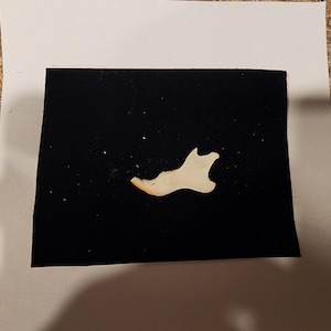 May include: A small, off-white bone fragment, possibly a jawbone, is centered on a black background. The bone has a curved shape with a few small projections. The background is set against a white paper.