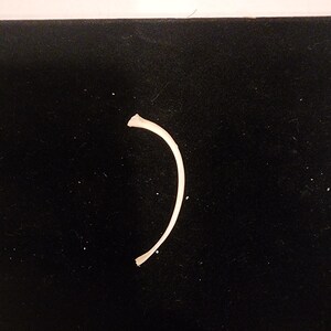 May include: A curved, off-white bone fragment, possibly a rib, rests on a black surface. The bone is smooth and slightly curved, with a broken end. The background is a dark, solid colour, providing contrast to the bone.