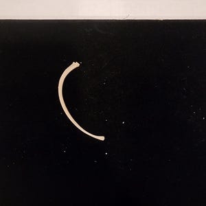 May include: A curved, off-white bone fragment against a black background. The bone is slightly curved and appears to be a rib or similar skeletal element. The background is a dark, velvety material.