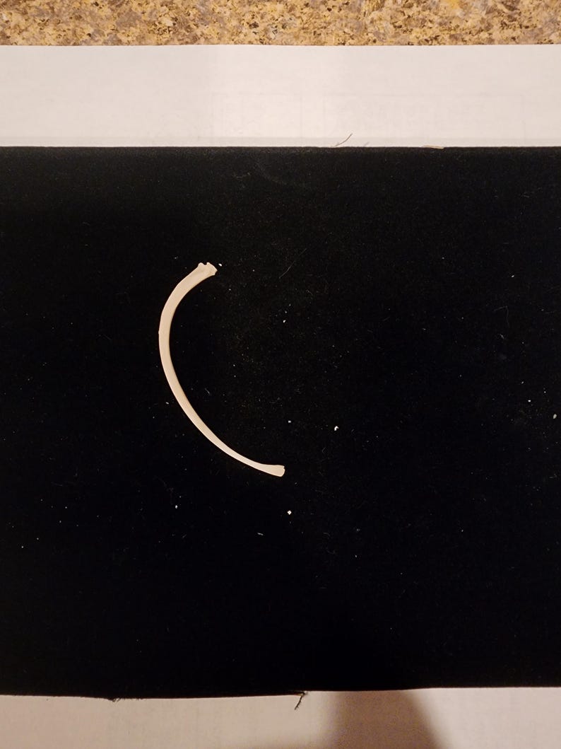 May include: A curved, off-white bone fragment against a black background. The bone is slightly curved and appears to be a rib or similar skeletal element. The background is a dark, velvety material.