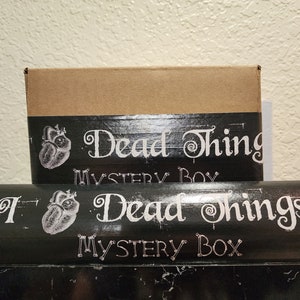 RESTOCKED Dead Things Mystery Box (LARGE) - Ready to Ship!   Bones Skulls Teeth! Holiday Oddities Last Minute Christmas Gift