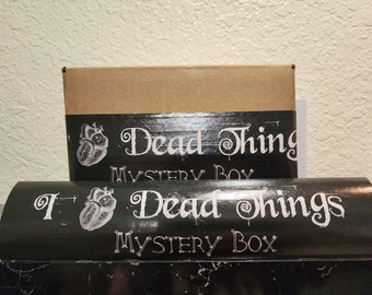 RESTOCKED Dead Things Mystery Box (LARGE) - Ready to Ship!   Bones Skulls Teeth! Holiday Oddities Last Minute Christmas Gift