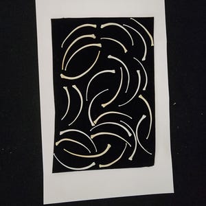 May include: A collection of small, curved, bone-colored objects arranged on a black background, framed by a white border. The objects are of varying sizes and shapes, creating a textured pattern.