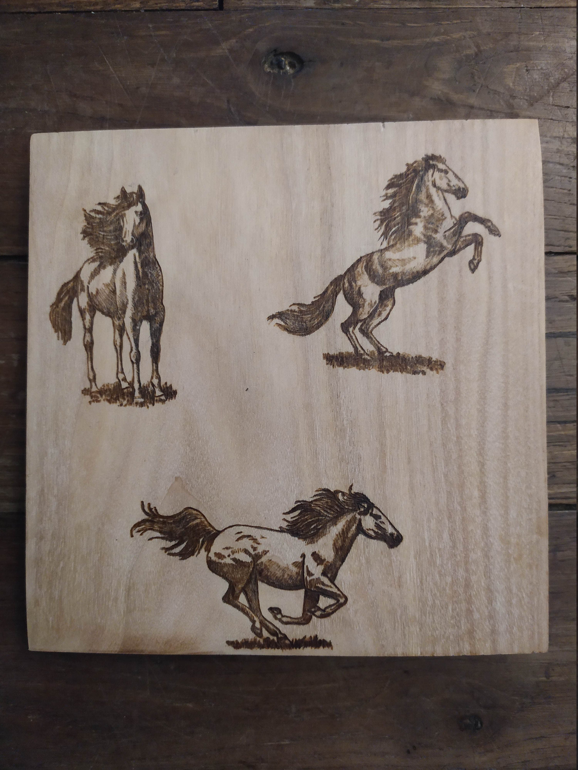 Dessous de Plat Chevaux