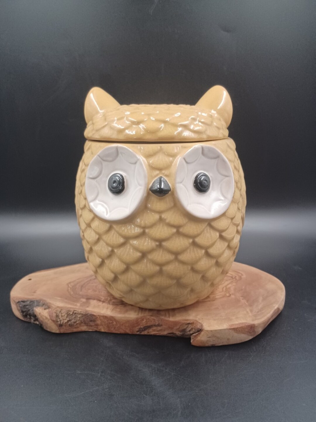 Ceramic Owl Jar 8t X 6w Etsy