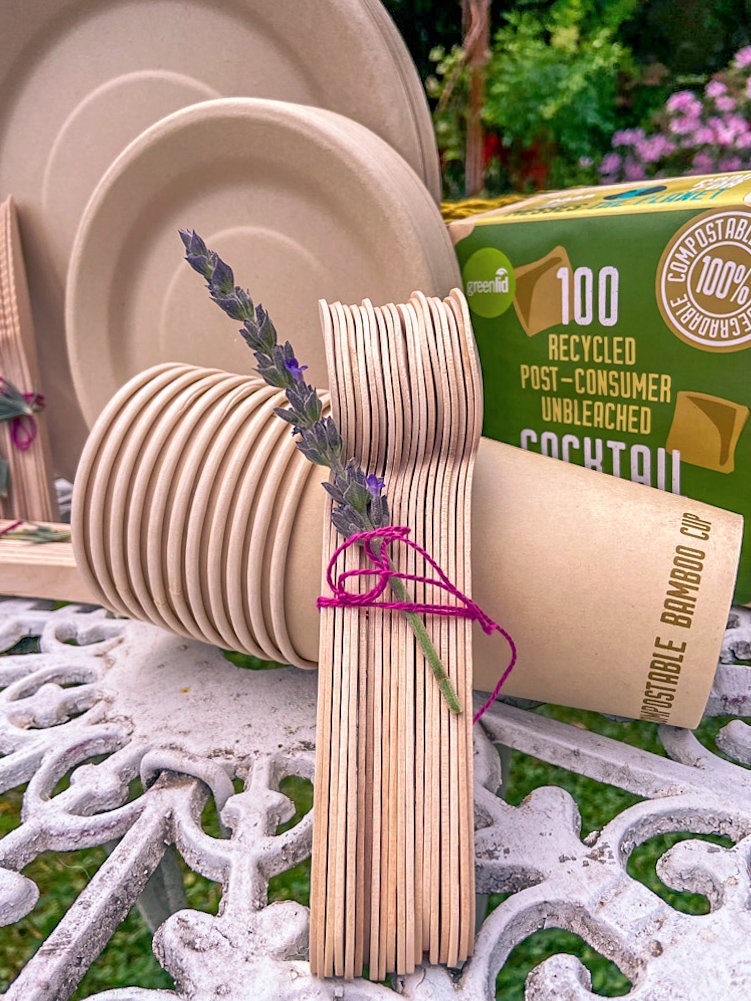 Eco Friendly Party Favors Packs Biodegradable Compostable Etsy