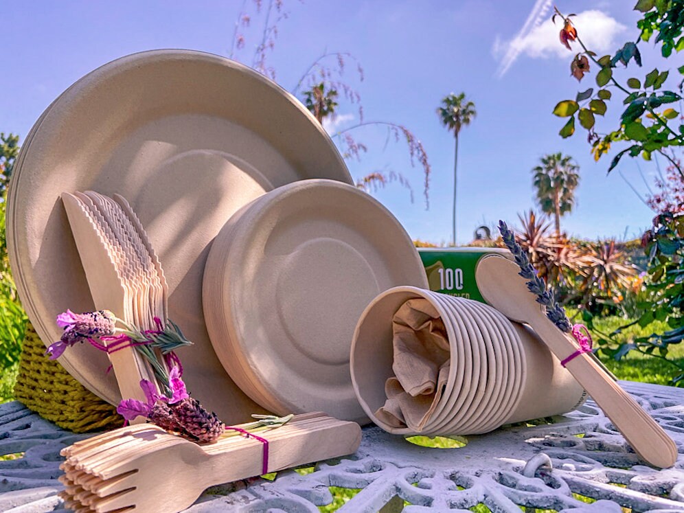 Eco Friendly Party Favors Packs Biodegradable Compostable Etsy