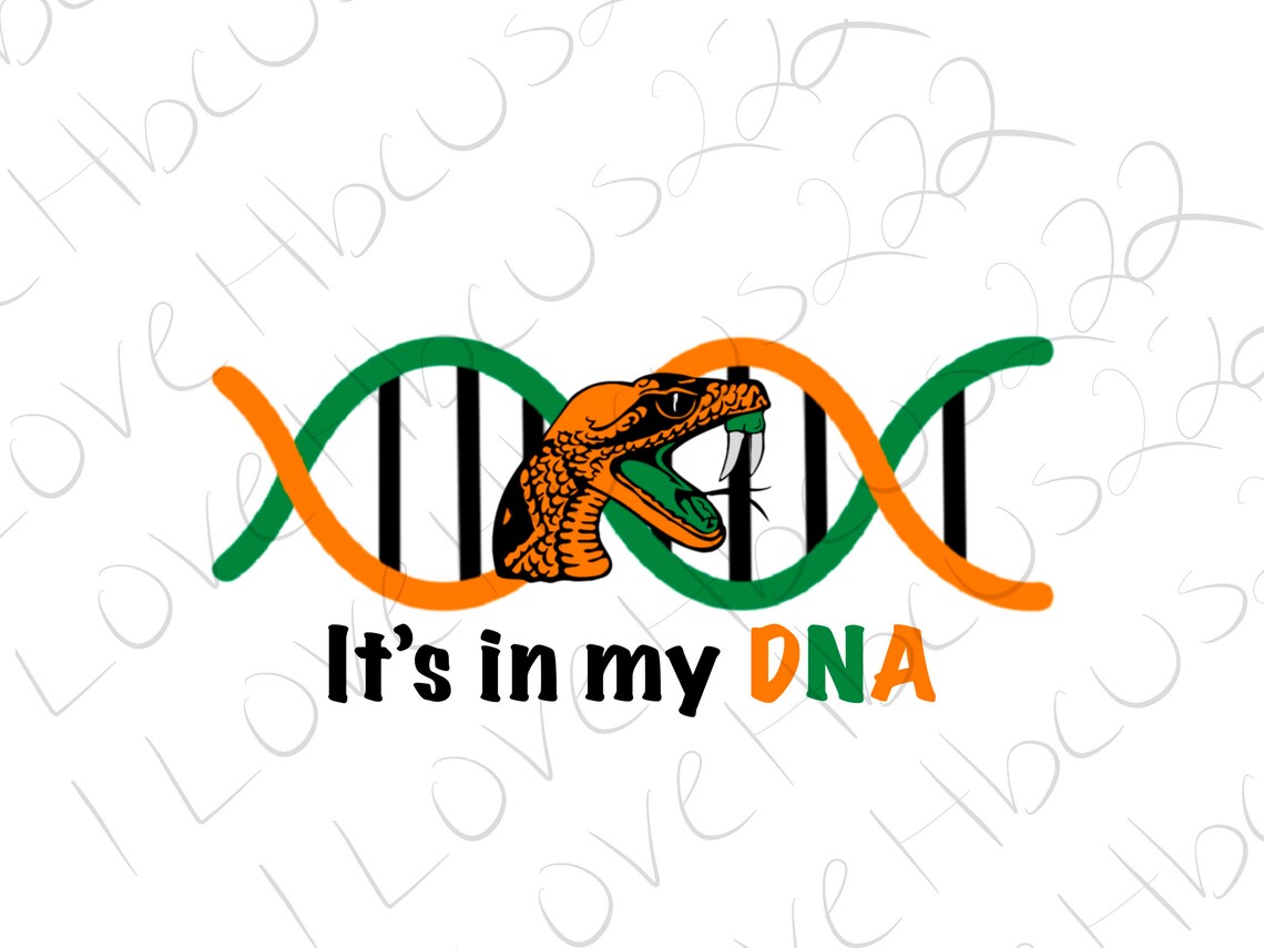 It’s in My DNA/FAMU Svg and Png - Etsy