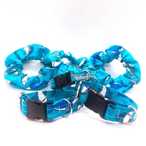 Fabric Dog Collar | Shark Summer Collar | Unisex Collar | Flat Collar | Blue White Collar | Summer Dog Collar | Playful Dog Collar