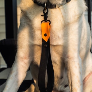 Waterproof 1&quot; Wide 12&quot; Length Dog Heel Training Leash Traffic Control Handle, Odor Resistant Outdoor Gear Biothane, Two-Tone Custom Personal