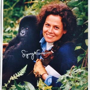 SEGOURNEY WEAVER Signed Photo - Gorillas In The Mist  11&quot;x14&quot; w/COA