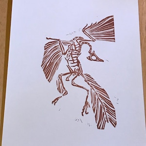 Archaeopteryx