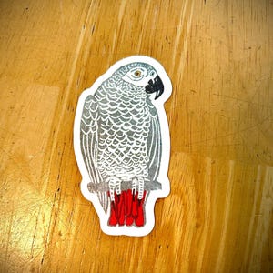 African Grey Parrot Sticker