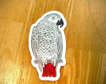 African Grey Parrot Sticker