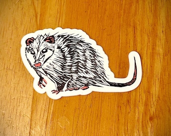 Opossum Sticker
