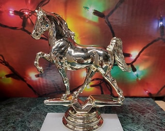 Horse / Racing / Show Jumping / Trail Riding / Polo / Dressage / Equestrian vaulting