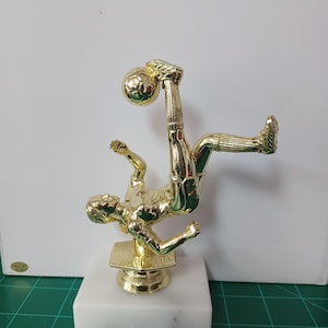Customizable Female Soccer Award