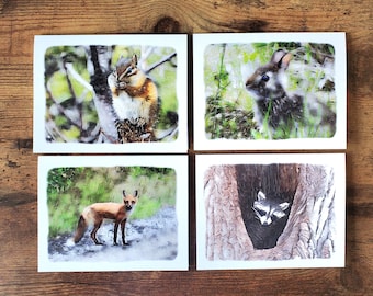 Tarjetas de felicitación de animales pequeños l Juego de 4 l Ardilla listada del este l Zorro rex l Mapache l Conejo de cola de algodón del este
