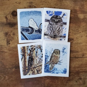 l Lot de 4 cartes de vœux l Chouette rayée l Harfang des neiges l Chouette épervière l Hibou des marais