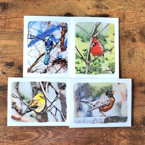 l Lot de 4 cartes de voeux pour oiseaux de jardin l Cardinal rouge l Geai bleu l Chardonneret jaune l Merle d'Amérique