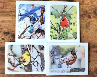 Tarjetas de felicitación de aves de jardín l Juego de 4 l Cardenal norteño l Arrendajo azul l Jilguero americano l Petirrojo americano