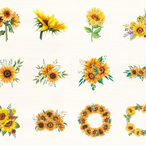 Gula blommor PNG, akvarellblomma Clipart, gula blommor buntillustrationer, direktnedladdning, klisterlappar, digitala PNG-klistermärken bild 5