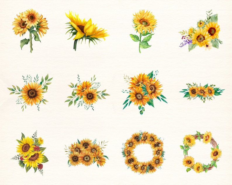 Gula blommor PNG, akvarellblomma Clipart, gula blommor buntillustrationer, direktnedladdning, klisterlappar, digitala PNG-klistermärken bild 5