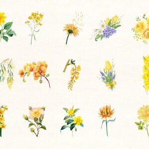 Gula blommor PNG, akvarellblomma Clipart, gula blommor buntillustrationer, direktnedladdning, klisterlappar, digitala PNG-klistermärken bild 2