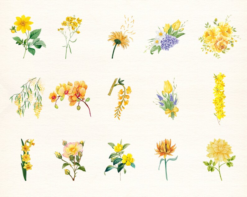 Gula blommor PNG, akvarellblomma Clipart, gula blommor buntillustrationer, direktnedladdning, klisterlappar, digitala PNG-klistermärken bild 2