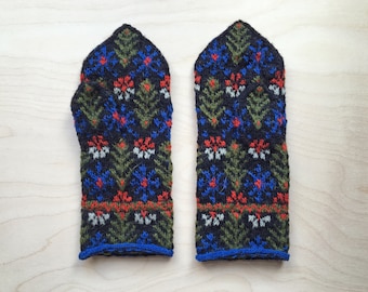 Ethnographic Latvian Mittens - ZEMGALE, DŽŪKSTE